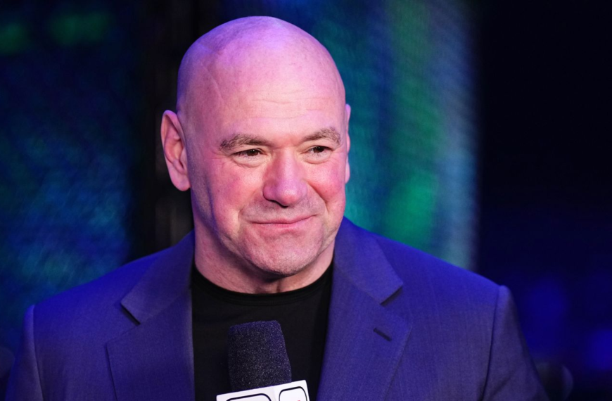 dana white