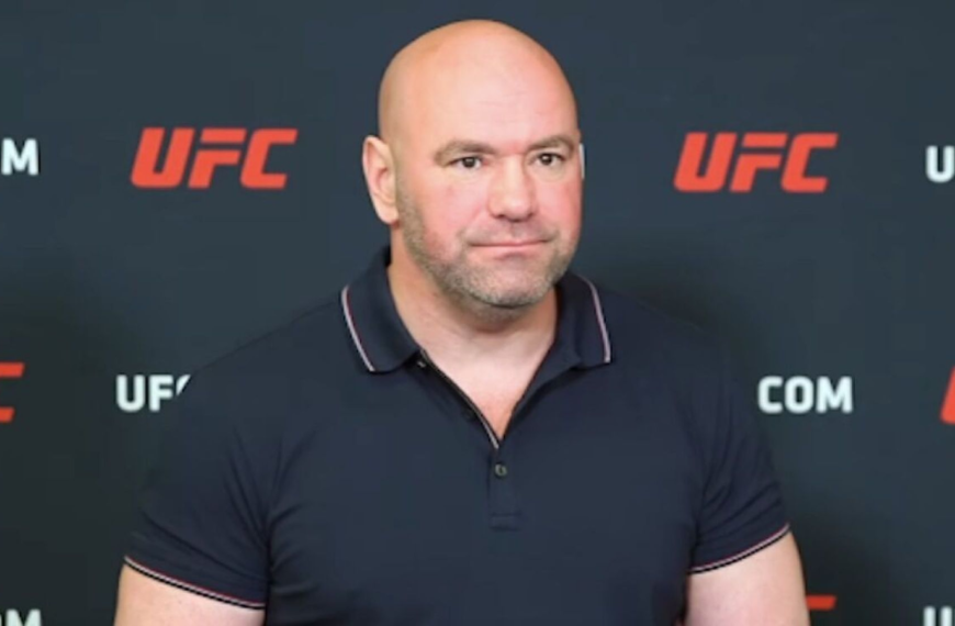 dana white net worth